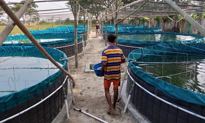 ide ide kreatif budidaya