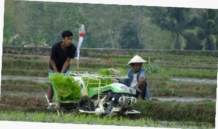 ide-ide kreatif penerapan sistem pertanian berkelanjutan