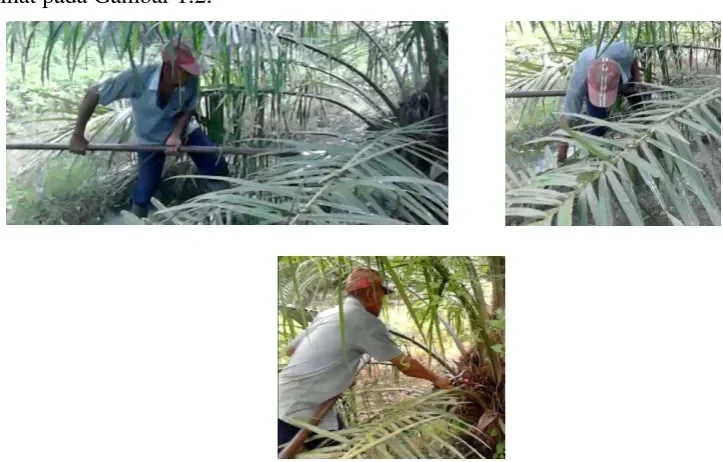 ide kreatif alat panen kelapa sawit motor rel transport