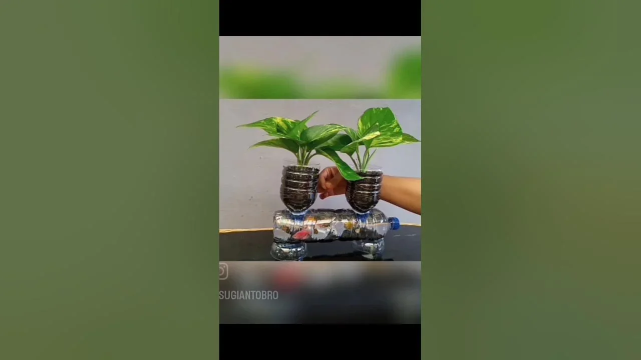 ide kreatif aquarium youtube