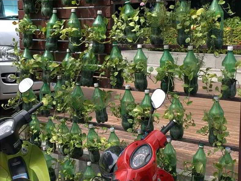 ide kreatif berkebun dengan botol bekas