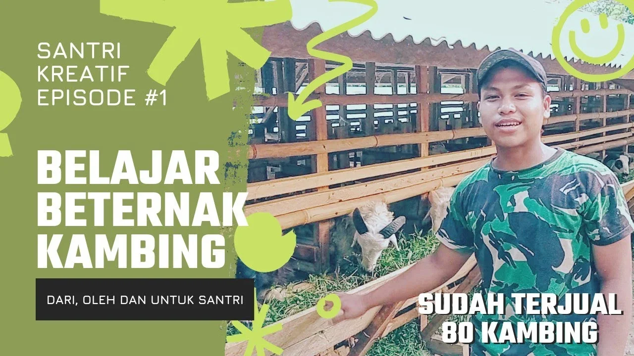 ide kreatif beternak entok