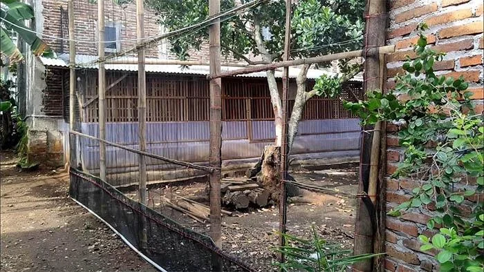 ide kreatif buat kandang ayam