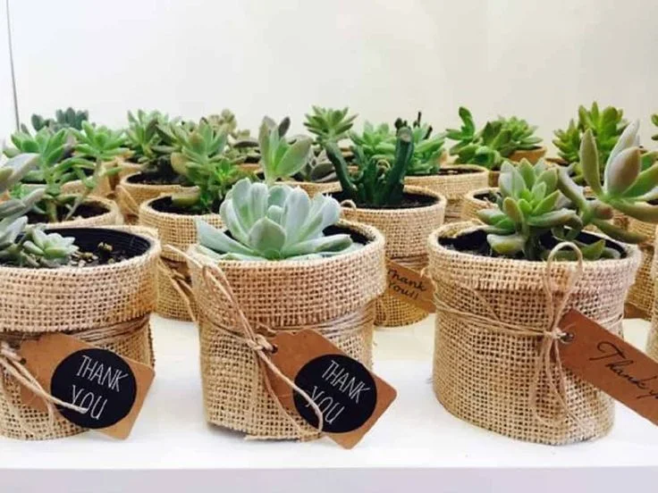 ide kreatif buat sovenir