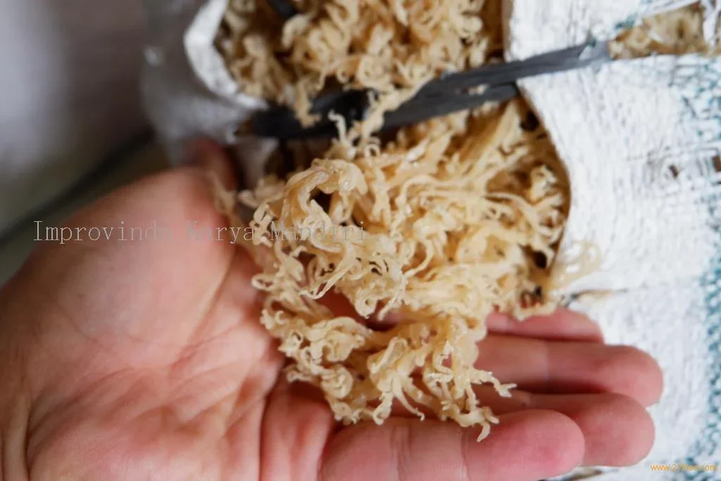 ide kreatif dari euchema cottoni