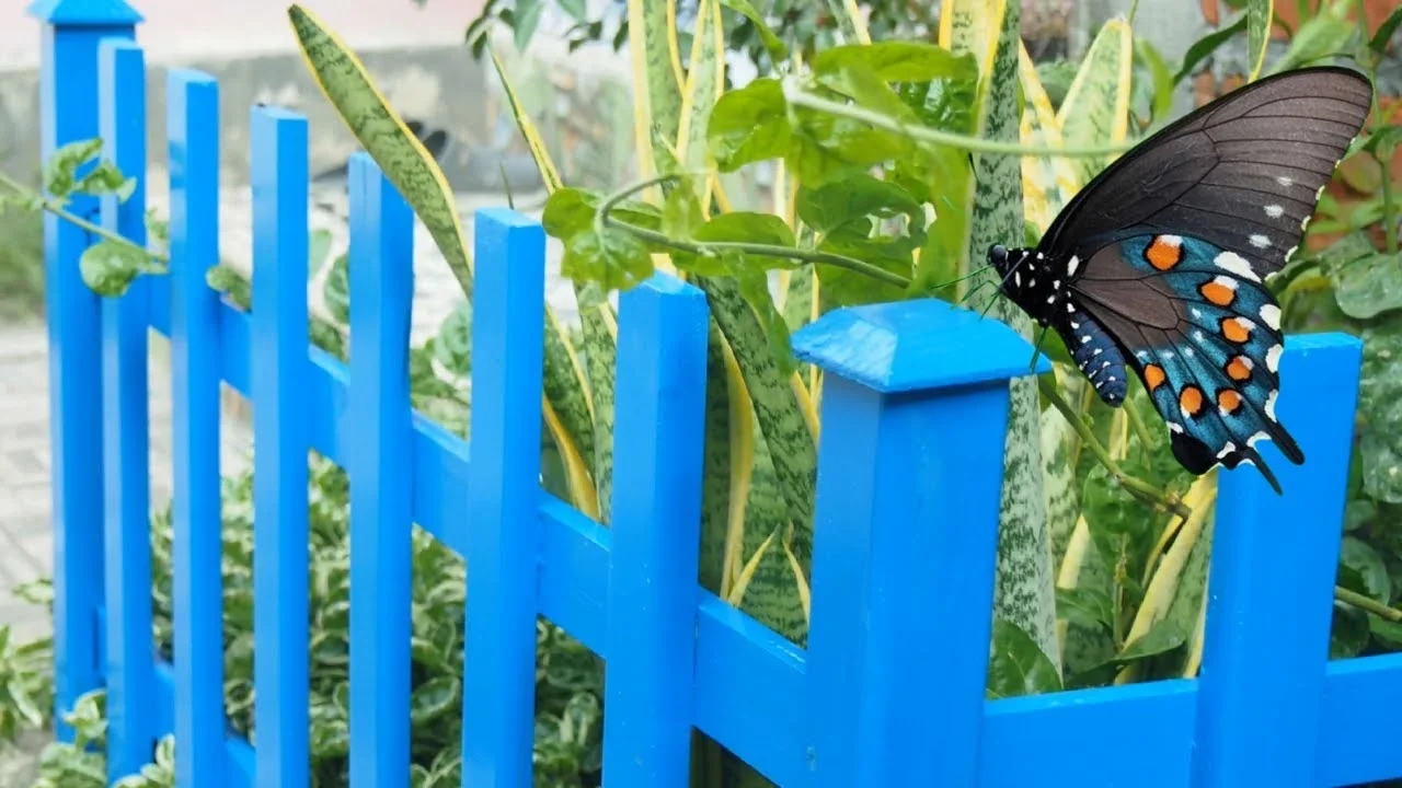 ide kreatif dari pallet