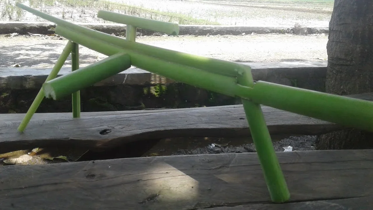 ide kreatif dari pelepah lontar