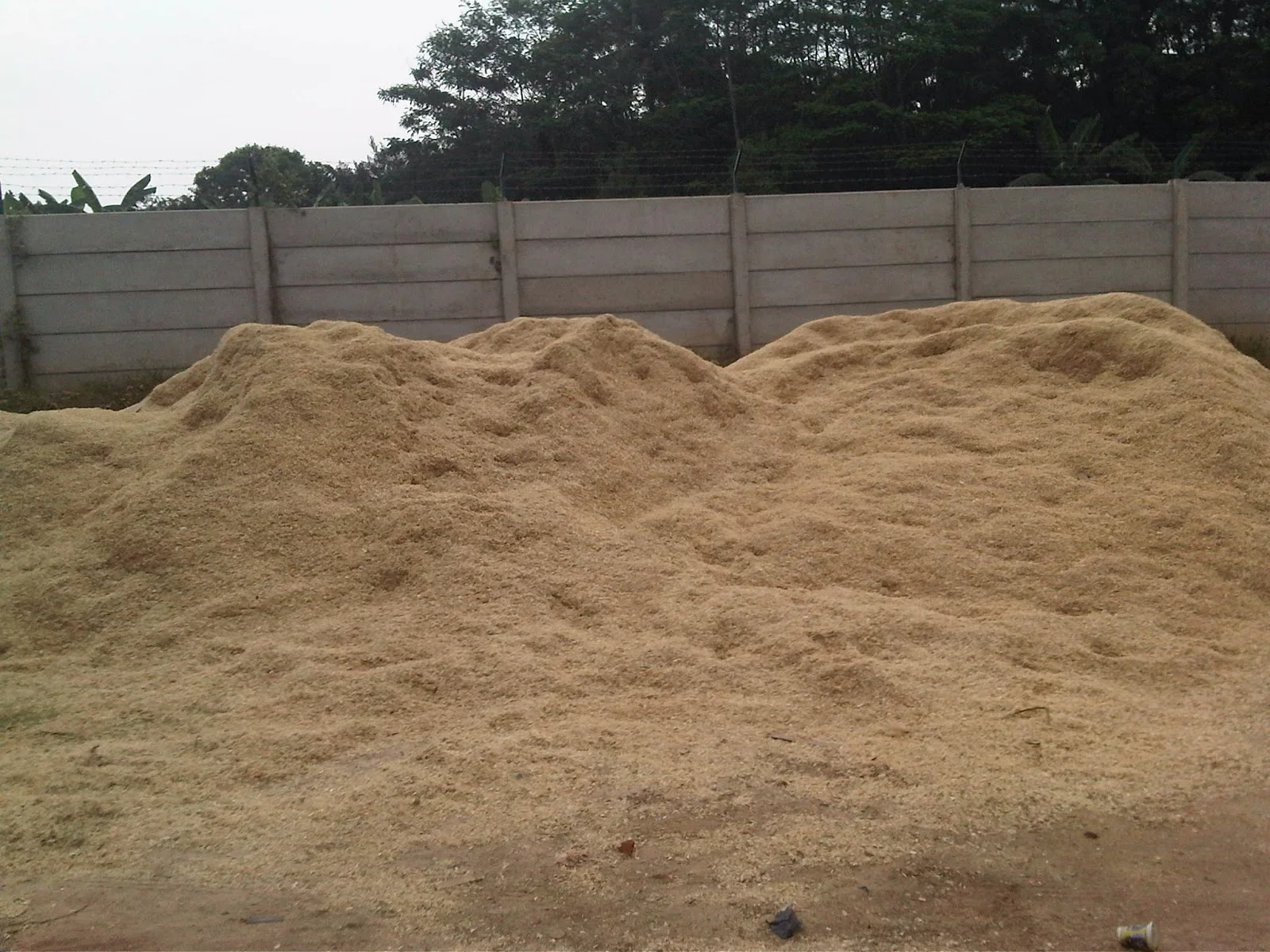 ide kreatif dari serbuk kayu