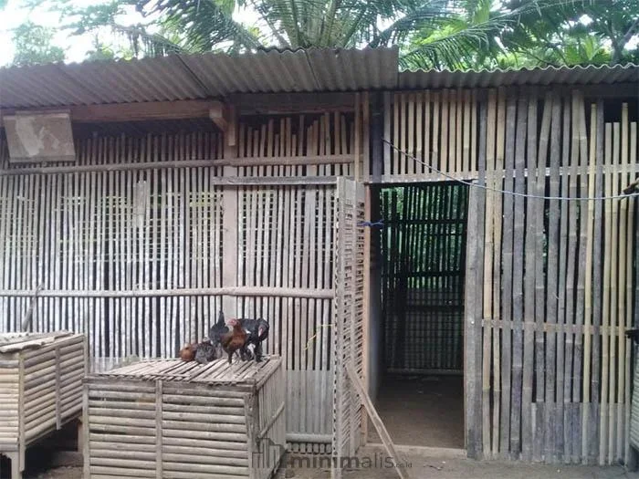 ide kreatif kandang ayam