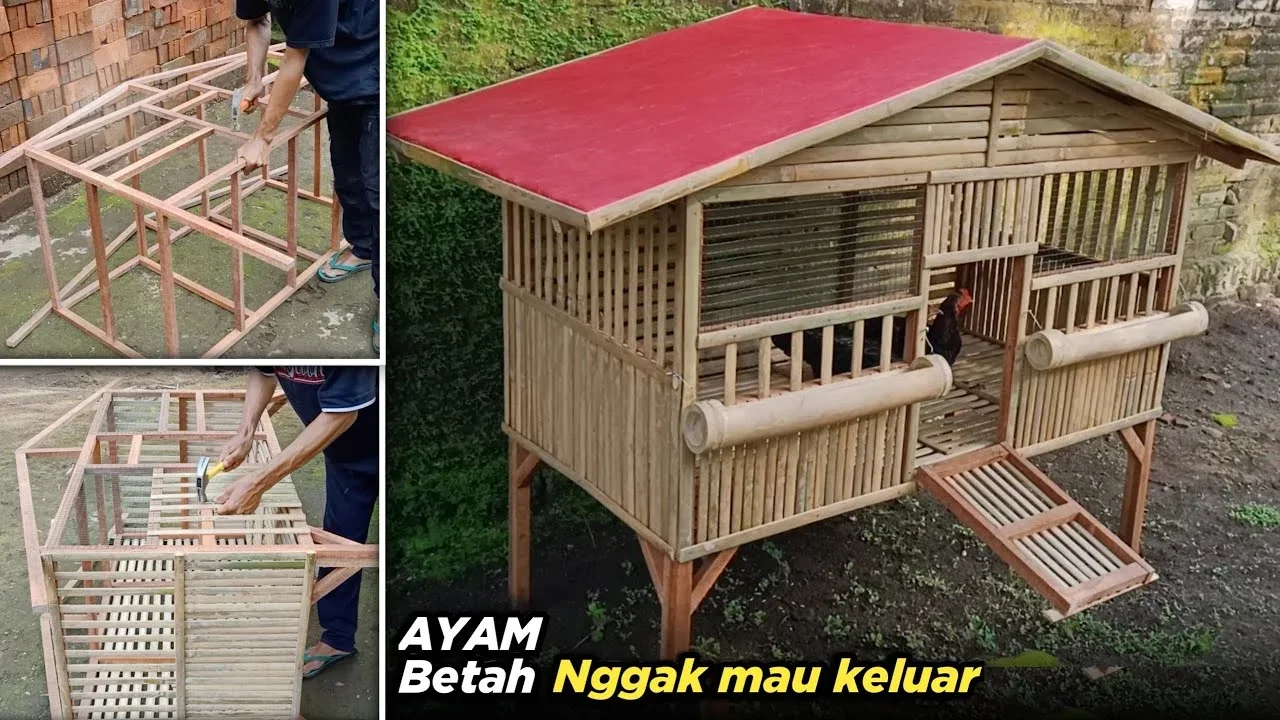 ide kreatif kawat ayam