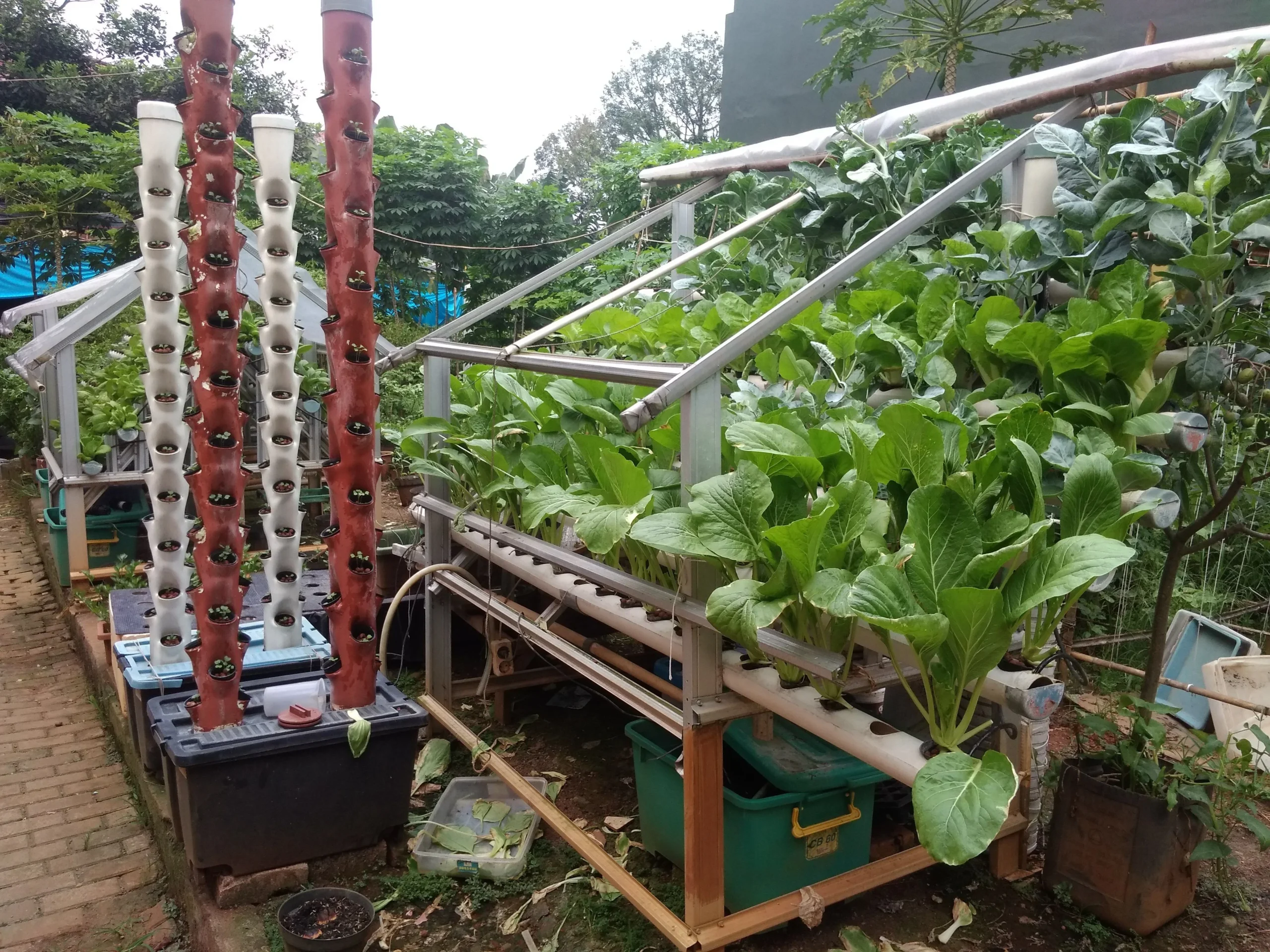 ide kreatif kebun sayur halama sempit
