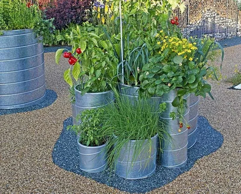 ide kreatif kebun sayur halaman sempit