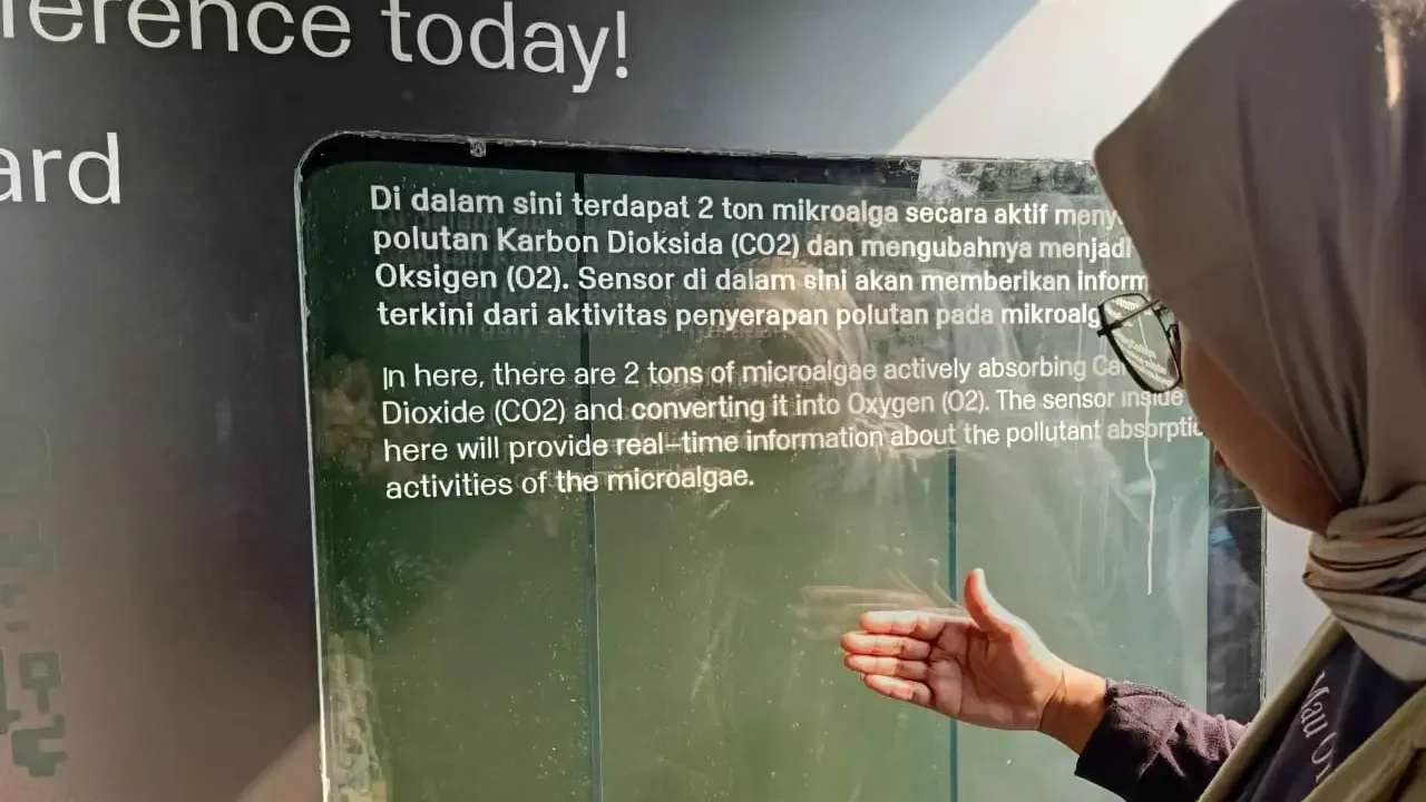 ide kreatif memanfaatkan alga