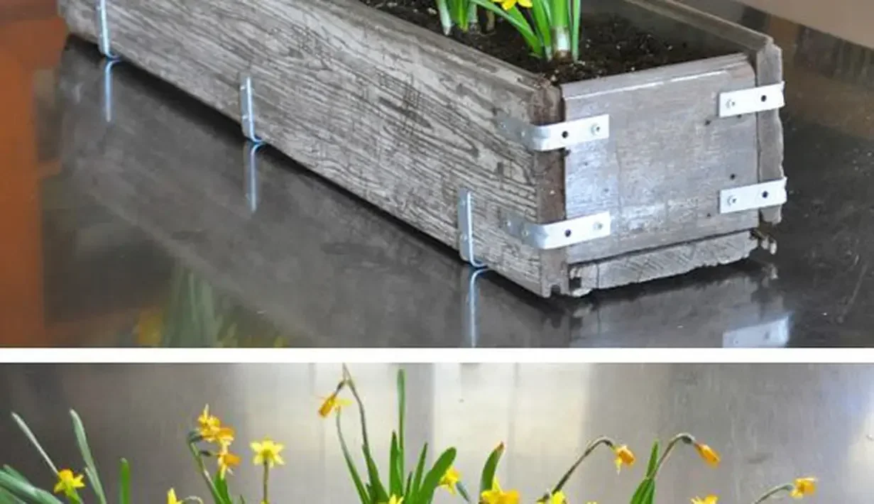 ide kreatif memanfaatkan kayu bekas