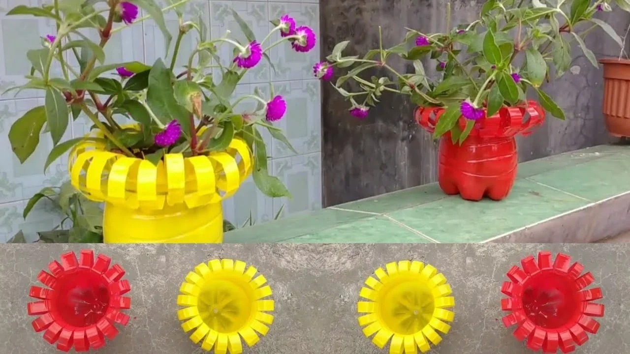 ide kreatif membuat tanaman indah