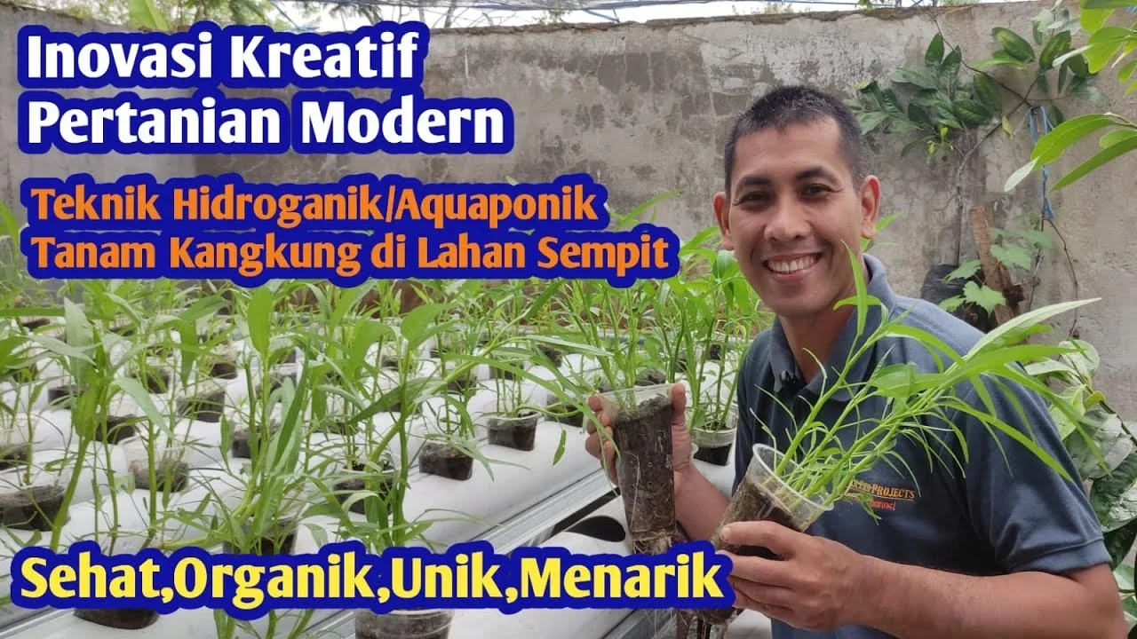 ide kreatif pertanian