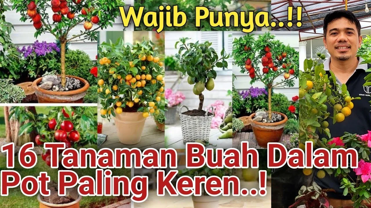 ide kreatif tabulampot