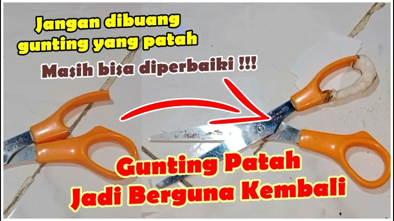 ide kreatif yang dapat berguna bagi makhluk hidup