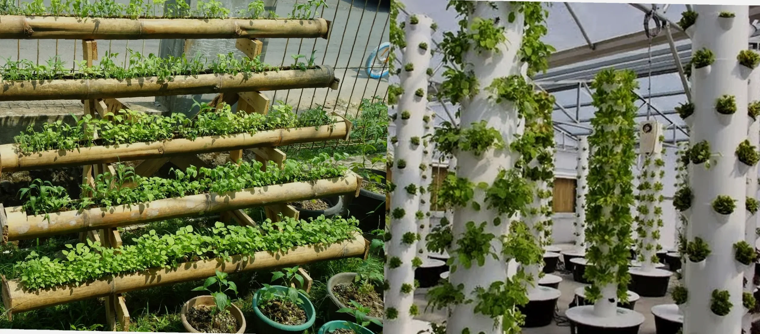 ide vertikultur kreatif