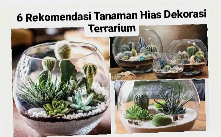 kata-kata untuk ide kreatif terrarium